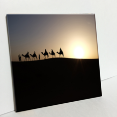 HTP 瓷磚 與駱駝同行的隊伍 C669