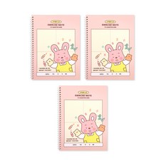 Indigo兒童小學我的夢想數學解題筆記本4除圖春季, 3個, 粉色