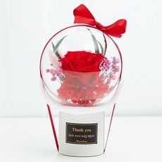 不凋花壓克力氣球, 紅色