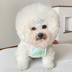 바이담수미 寵物夏季紮染連身衣, 綠色