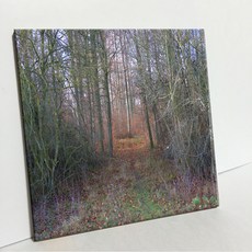 UDP 磁磚相框 A型 3907223, 單色