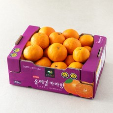 올레길 AI 당도선별 카라향, 1개, 2.5kg