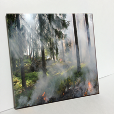 HTP 磁磚 C519 森林薄霧