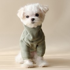 petit dog 狗狗刷毛連帽高領T恤, 綠色, 1個