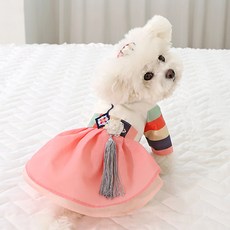 ITS DOG 狗狗智安公主彩緞韓服, 粉紅色, 1個