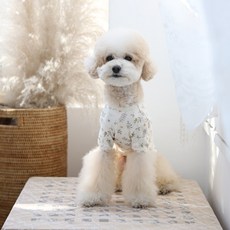 ITS DOG Botanic Garden 寵物T恤, 混搭色