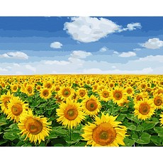 Play about 油畫 數字油畫 DIY 名畫繪製 40 x 50 cm 青花向日葵, 1個, 混合色