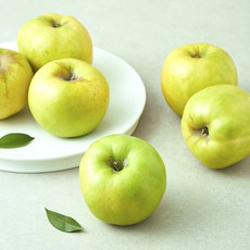 셀렉트팜 A 골든볼 사과, 1개, 1.5kg(중과, 6~7입)