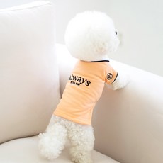 PETSLAND 狗狗Always POLO衫, 1個, 橘色