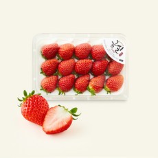 금실 김진상 마이스터의 금실 딸기, 1개, 300g