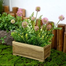 Garden in the City 蒲公英花壇, 粉色的