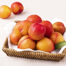 새벽경매 이화원 자두, 1팩, 1kg