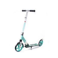 SWISS BEGINEW 折疊踢板 2020S 完好, 薄荷，白色