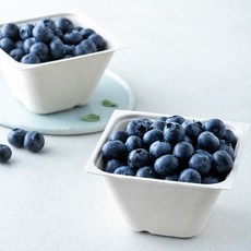 아주마 GAP 인증 산지직송 인디고 왕블루베리, 2개, 250g