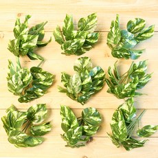 JOART 室內裝飾人造葉片 人造植物葉叢 9入組, 大理石黃金葛, 1套