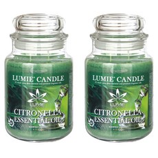 르미에 라지자 캔들, 570g, 2개, 시트로넬라