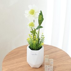 도시정원 스카비오사 조화 소품, 화이트, 1개