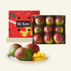 이웃마을 페루산 애플망고 8~10입, 1개, 3.8kg