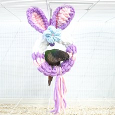 手工鸚鵡用品, 1個, 斯黛拉鸚鵡