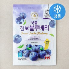 점보블루베리 (냉동), 1개, 500g