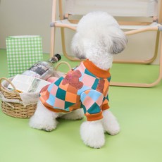 Kupets 狗狗拼色T恤, 橘色, 1個