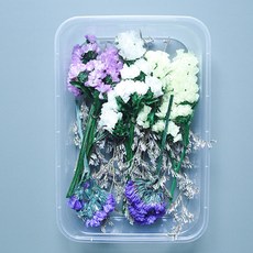 Makemine混合乾花盒DIY愛好者, 混色