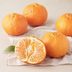 프레시픽 레드향, 1.5kg(대과, 4~5입), 1팩