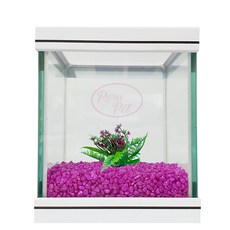 로라펫 15큐브 어항 형광스톤세트, 형광 보라, 1개