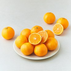 선우마케팅 미국산 만다린, 1개, 1kg