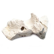 와이피 해구스톤 수석 랜덤발송, 1개