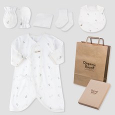 Organic Boom 嬰幼兒龍年夏季用新生兒袍 + 圍兜 + 防抓手套 + 襪子 + 手帕 + 盒裝套組 + 提袋