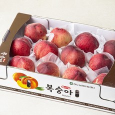 농협 청도산 부드러운 백도 복숭아, 3kg(12내), 1박스
