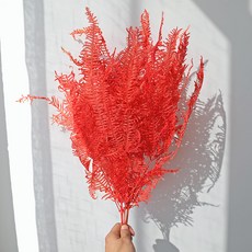 GAPANG 乾燥花 DRYJ143, 03號