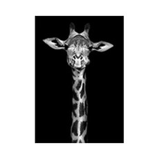 DM Corporation 黑白動物帆布海報 長頸鹿