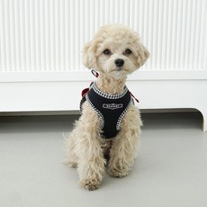 RealPet 강아지 파스텔 하네스, 블랙, 1개