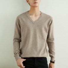 soleil 男士素色日常基本款V領針織衫