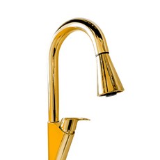 Daejeong Waters 廚房單孔鵝頸水龍頭 金色 SK7000, 1個