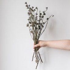 GAPANG 乾花 DRYB08504, 深藍色 04