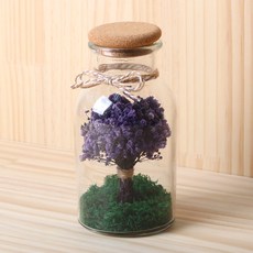 ROMANTIC NOVEMBER 滿天星乾燥花透明瓶 500ml, 紫色