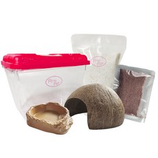 Rora Pet 寄居蟹養魚缸套組, 羅馬白色競技場（糖）