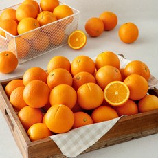 퓨어스펙 고당도 오렌지 소과, 1개, 10kg