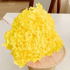 繡球花乾燥莖, 黃色的