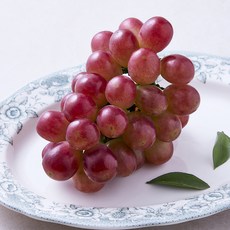 상주 써니돌체 포도, 1개, 450g