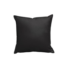 DS SOFA 沙發抱枕+枕套, DS113（黑色）