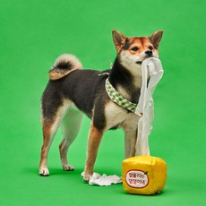 Nyangpum Meongpum 狗狗好好抽 嗅聞益智玩具, 1入, 黃色 + 白色