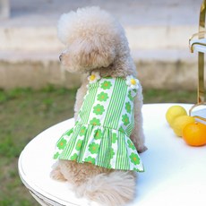 PASTEL PET 寵物雛菊印花無袖連身裙, 綠色