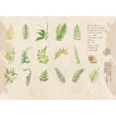 Mazing Choice 手帳裝飾貼紙 B款, 1套, B1 綠色