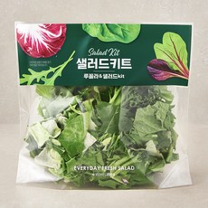 루꼴라 & 샐러드 키트, 200g, 1개