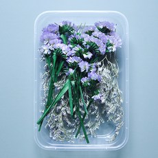 Makemine混合乾花盒DIY海, 混色