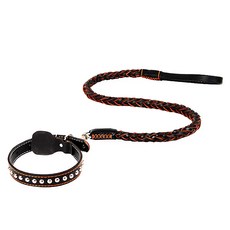 EGUEGU 寵物項圈+牽繩 M號, 黑色的, 1套